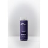 Paul Mitchell Blonde Platinum Plus Deep Violet Shampoo vijoličen šampon za nevtralizacijo rumenih odtenkov 300 ml | Shoptok.si