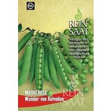ReinSaat Grah "Kelvedonski čudež" Cene