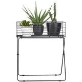 Modern Living Lonček Za Cvetlice Black Times I -Paz- | Shoptok.si