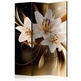  Paravan u 3 dijela - Circle of Light [Room Dividers] 135x172 | shoptok.hr