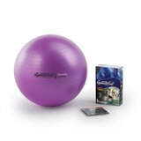 Ledragomma PEZZI GymBall MAX žoga, vijolična, škatla, 65 cm Cene
