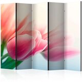  Paravan u 5 dijelova - Spring and tulips II [Room Dividers] 225x172 Cijene