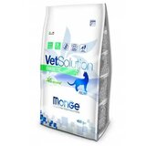 Monge Hrana za regulisanje snabdevanjaglukozom VetSolution Diabetic, 400g Cene