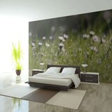  Tapeta - Daisies with morning dew 200x154 Cijene