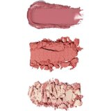 Makeup Revolution Blush Icon Palette paleta rumenila nijansa Aura Points Rose 9.8 g | shoptok.hr