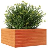 Vrtna sadilica voštano smeđa 50 x 50 x 23 cm masivna borovina | Eponuda.com
