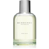 Burberry Weekend for Men toaletna voda za muškarce 100 ml Cijene
