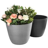 Olimp Sport Velika saksija Mwala | ePonuda.com