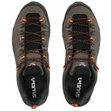 Salewa Pohodništvo Alp Trainer 2 Gtx pisana | Shoptok.si