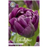  Cvjetne lukovice Tulipan Negrita Double (Ljubičasta, Botanički opis: Tulipa) Cijene