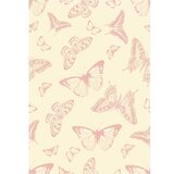 Conceptum Hypnose tepih (180x280) da 1746 | ePonuda.com