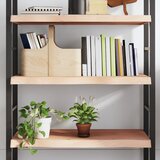 Maison Chic Stenska polica - Viseča Polica 80x60x(2-6) cm neobdelana trdna hrastovina, (21784905) | Shoptok.si