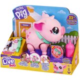 Little live pets Interaktivna svinja COZY DOZY PIGGLY | Eponuda.ba