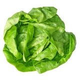 Nepoznato Zelena salata 1kg | ePonuda.com