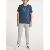 Ragwear Dark Blue Boys T-Shirt Cheero - Boys