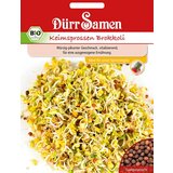 Dürr Samen BIO kalčki brokoli - 1 pkt. Cene