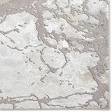 Think Rugs Svijetlo sivi tepih 80x150 cm Apollo – | shoptok.hr