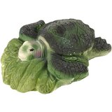 Ammonite Turtle Excavation Educational Kit | shoptok.hr