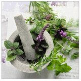 ProArt Slika na platnu Konventionel (Herbage Pestle II, Š x V: 30 x 30 cm) | shoptok.hr