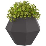  Cvetlično korito 2 pcs Črna 50 x 50 x 40 cm Jeklo, (5000207430) | Shoptok.si