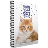 Cat SPIRALNA BILJEŽNICA A4 KOCKE | shoptok.hr