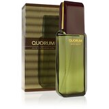 Antonio Puig Quorum toaletna voda 100 ml za moške | Shoptok.si