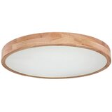 Globo Stropna Led-svetilka Rainer, S Sijalko | Shoptok.si