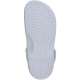 Crocs Cokle 'Classic' golobje modra | Shoptok.si