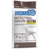 Forza10 Active Line Dog Forza 10 Intestinal Colon Phase 1 z jagnjetino - Varčno pakiranje: 2 x 10 kg