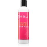 Mielle Avocado mlijeko za kosu 240 ml Cijene