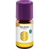 Baldini mirisna mješavina "Feel Joy" - 5 ml