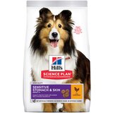 Hill’s Science Plan Adult 1 + Sensitive Stomach & Skin Medium s piletinom - 2 x 14 kg | shoptok.hr