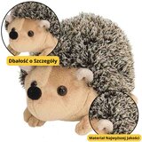Plišana igračka Jež 17.5cm - smeđa/bež sa sivim krznom | Shoptok.si
