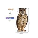 INF Obesek z zvoncem, ki odganja ptice sove, (21534920) | Shoptok.si