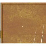  Vrtna vrata 100x200 cm Corten čelik dizajn trave | shoptok.hr