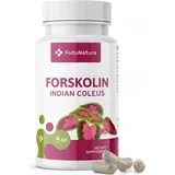 forskolin - Indijska kopriva