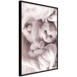  Poster - Tangled in Sweater 30x45 Cijene