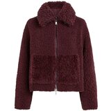 Beaumont Flis BM05510253 ROXY Vijolična | Shoptok.si