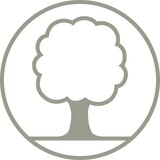 Mömax Postelja Natura, Hrast, Masivno, 160x200 | Shoptok.si