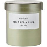 Blomus Dišeča sveča iz sojinega voska čas gorenja 45 h Valoa Fig Tree – Lime – u