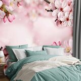 Foto tapeta - Spring Cherry Blossom 147x105 | shoptok.hr