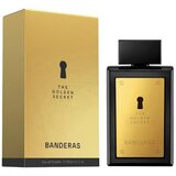 Antonio Banderas Muška toaletna voda Secret Absolu 24*, EDT, 100 ml Cene