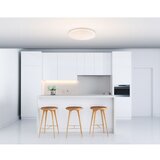 Globo 41003-20 - LED plafonsko svetlo TARUG LED/20W/230V | Eponuda.com