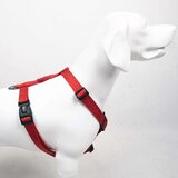 Paws & Whiskers Am za pse Prism, Šareni | Eponuda.com