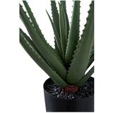 House Nordic Umetna rastlina (višina 51 cm) Aloe Vera – | Shoptok.si