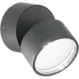 Lux -LED Spoljna zidna svetiljka OMEGA LED/7W/230V CRI 90 IP54 antracit