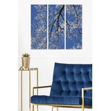 Wallity Set slika MDF3881060, 3 dijela | Eponuda.ba