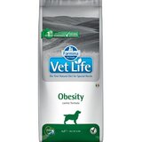 Farmina vet life dog obesity 12 kg Cene