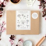 Jora Dahl Komplet za suho cvetje "Flowers To Dry - The Great Collection" Cene