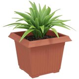  Kvadratna cvetlična posoda 24 pcs Kamnito rdeča Plastika, (5000207423) | Shoptok.si